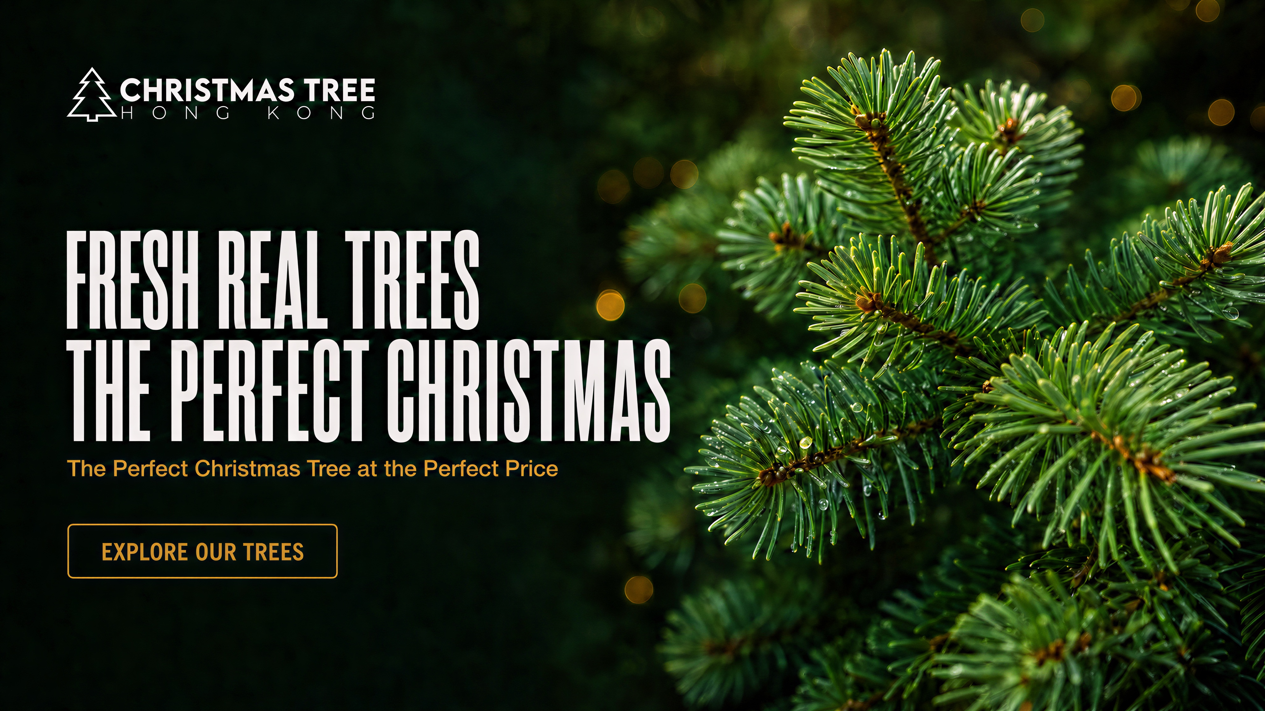 02-fresh-real-trees-FINAL.png
