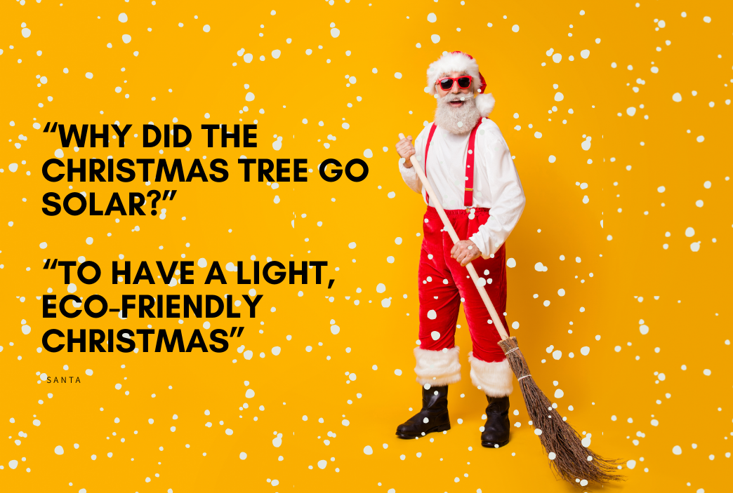 Recycle Your Christmas Tree
