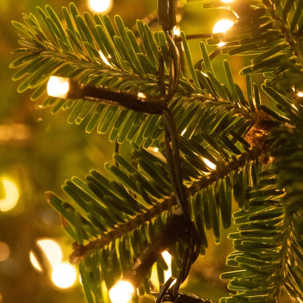 Christmas Tree Lights
