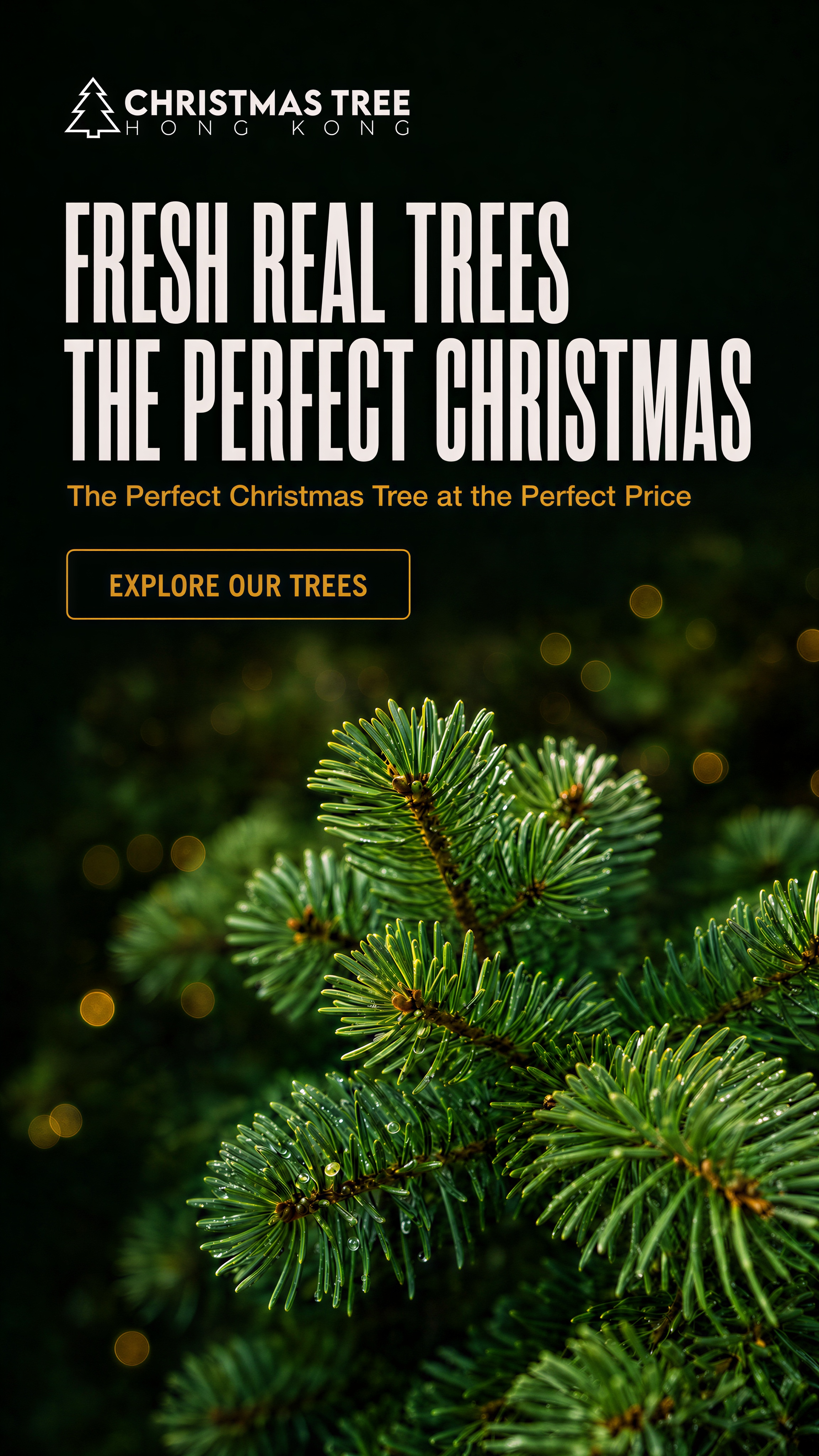 02-fresh-real-trees-MOBILE.png