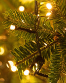 Twinkle Christmas Lights