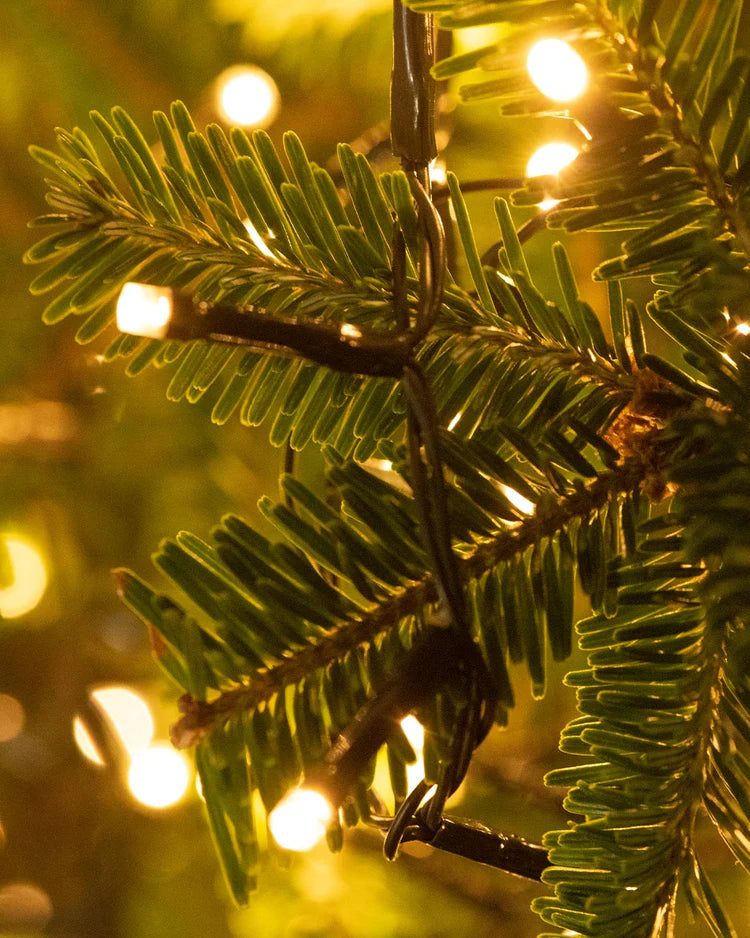 Twinkle Christmas Lights