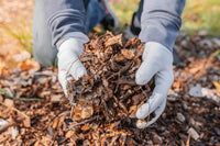 Christmas Tree Recycling Service