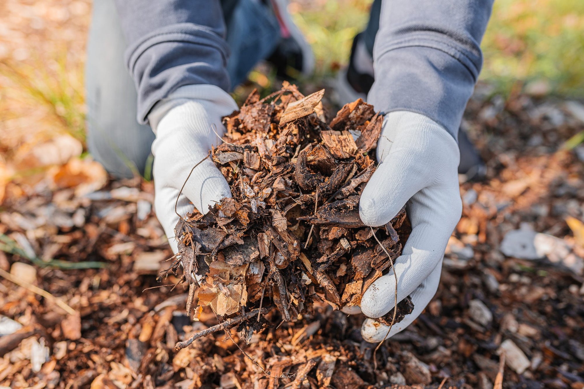 Christmas Tree Recycling Service