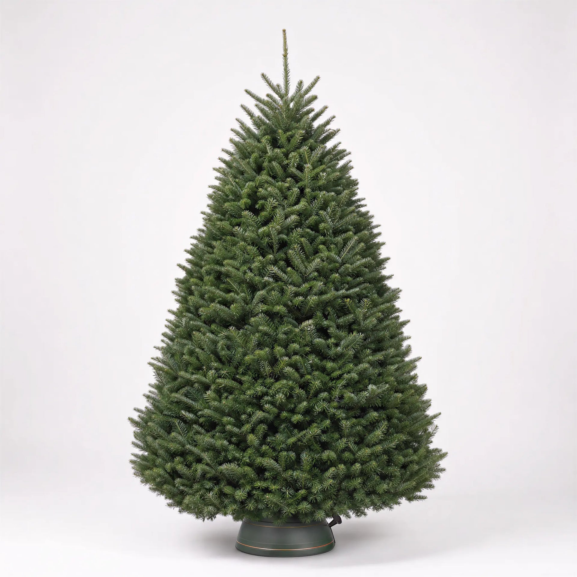 Noble Fir - Premium Christmas Tree