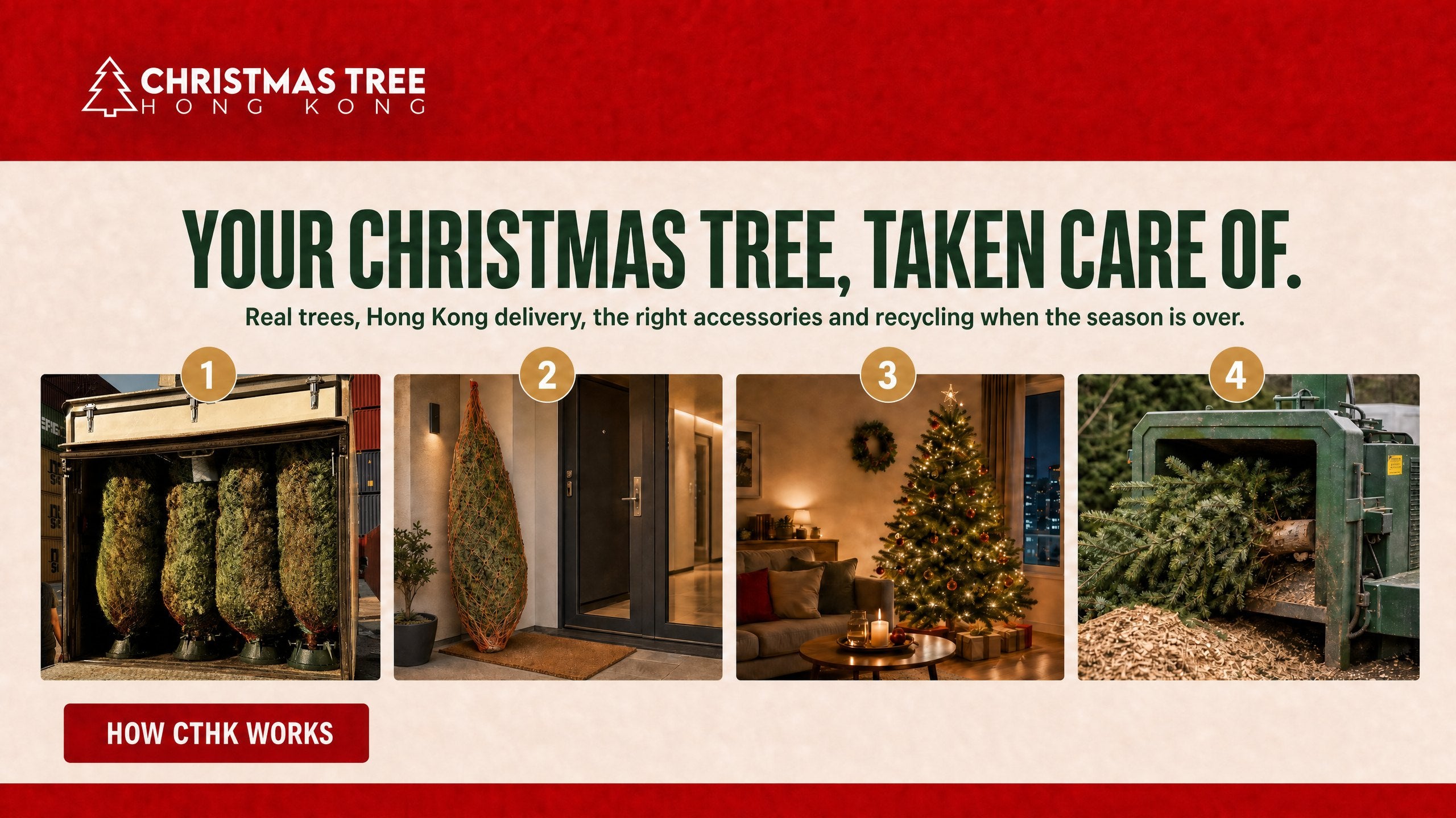 How Christmas Tree Hong Kong works, from order to delivery to recycling
