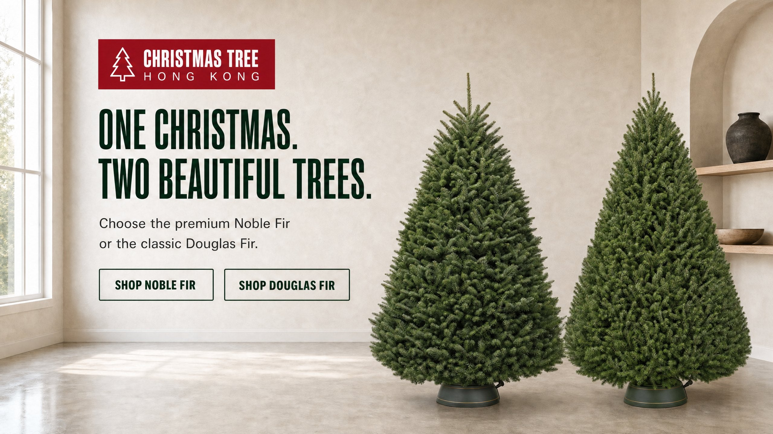 Compare the Noble Fir and Douglas Fir real Christmas trees from Christmas Tree Hong Kong