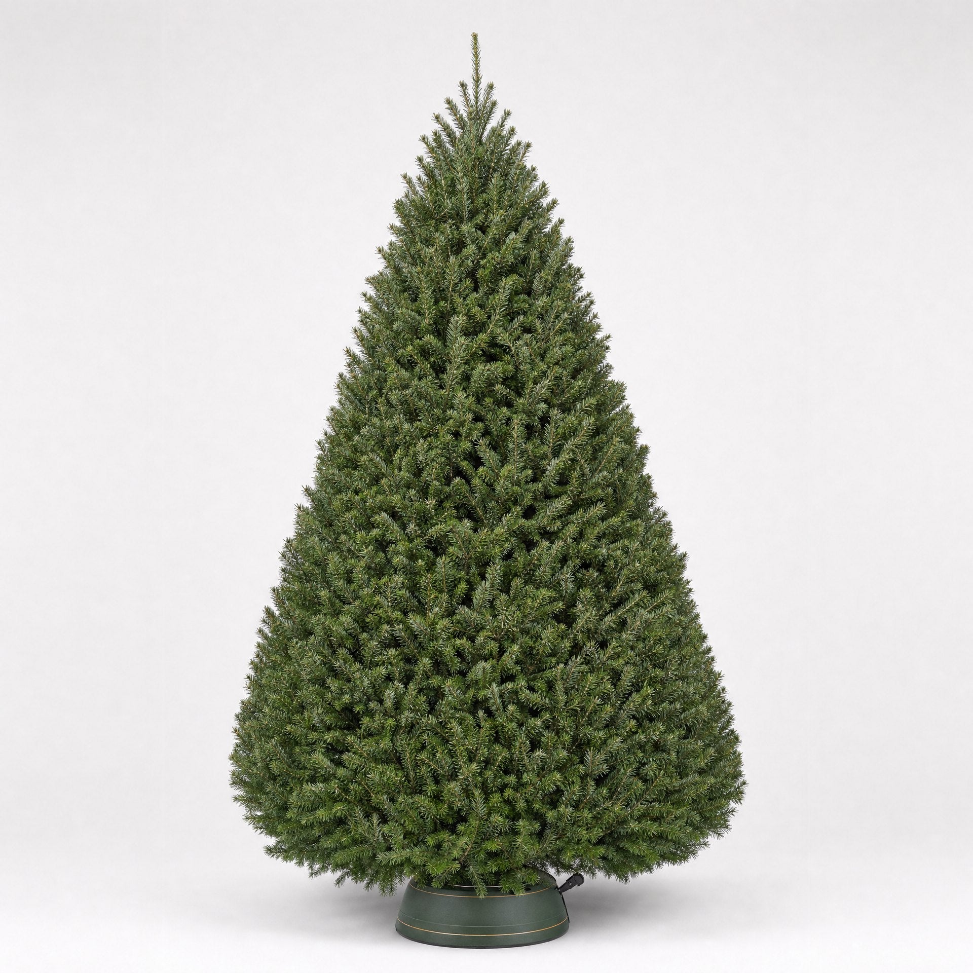 Christmas Trees