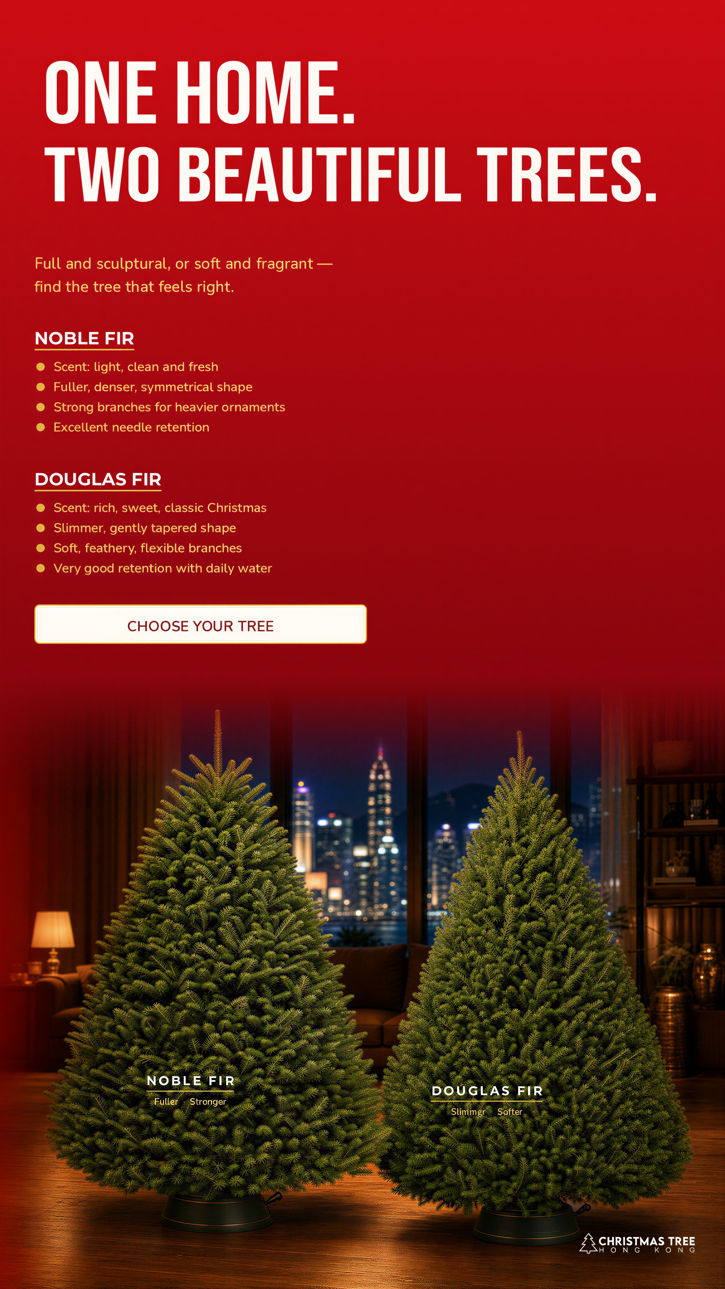 two-beautiful-trees-MOBILE-EDITORIAL-LEFT-ALIGNED.png